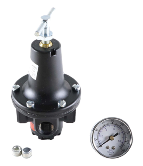 Watts, Watts R119-04CG Regulator